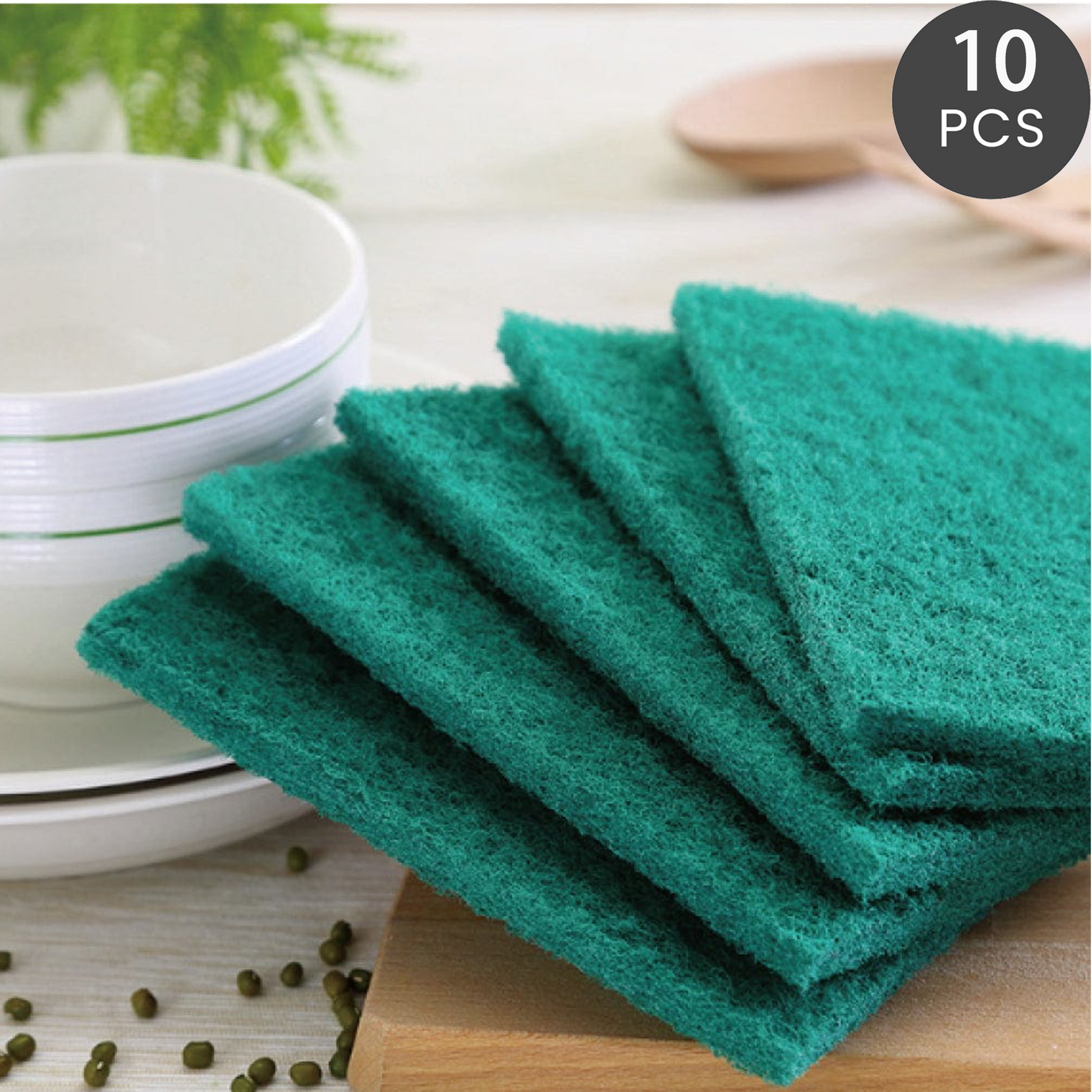 10 Pcs Kitchen Souring Pads - 01