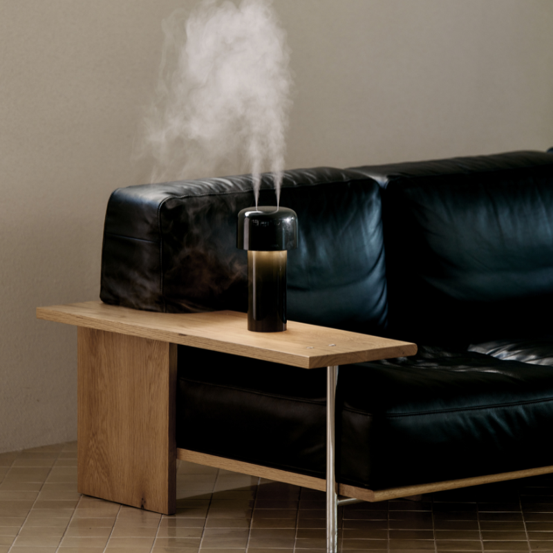 LUMENA Cordless Mood Light Humidifier MIST STAND