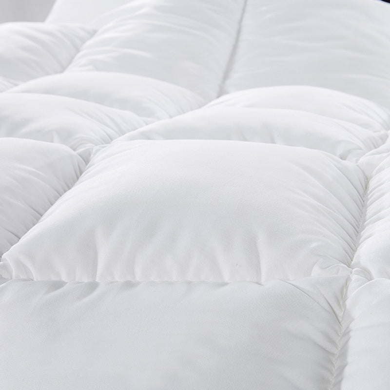 Royal Comfort Goose Feather & Down Quilt Queen - 500GSM-1951134835032592385