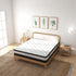 Osteopedic Euro Top Pocket Spring Mattress  - Queen-1951134905404624902