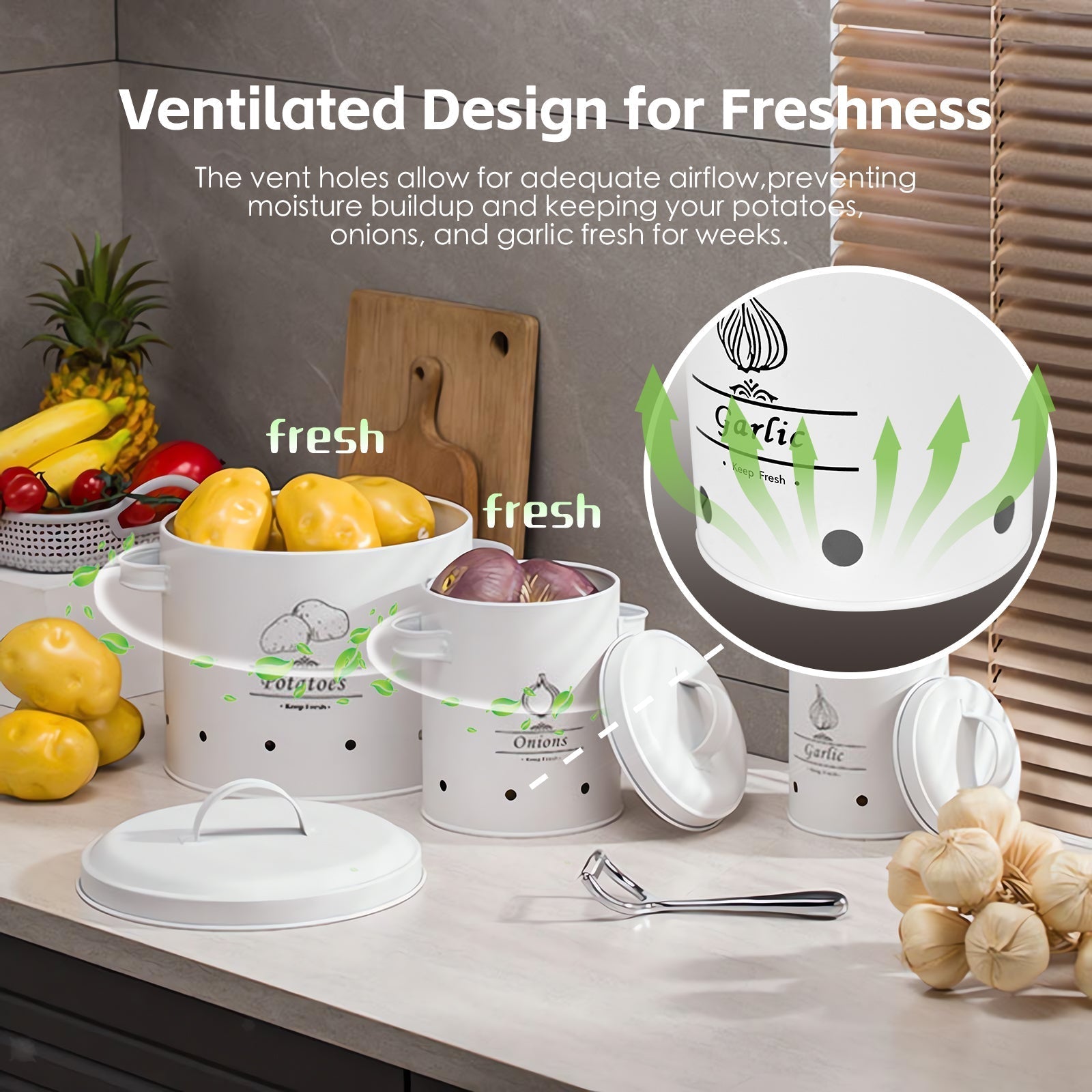 3 Pcs Galvanised Iron Fruit Vegetable Storage Tins - 02