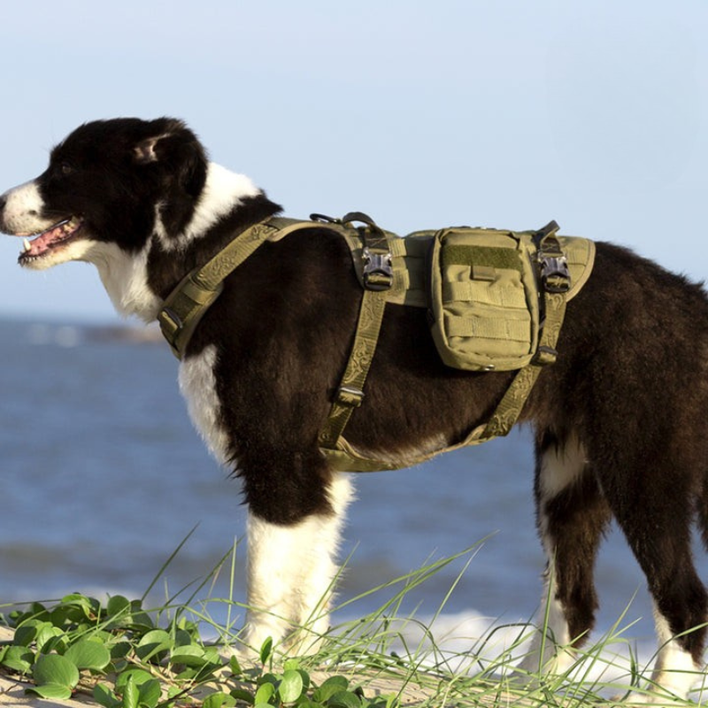 Dog Military Harness (M) - Army Green