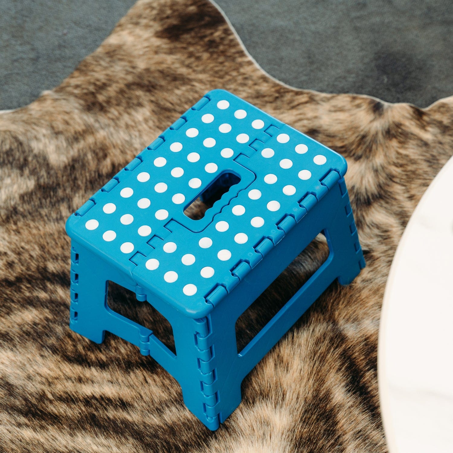 Plastic Folding Stool Portable Chair Outdoor Camping Blue - 02