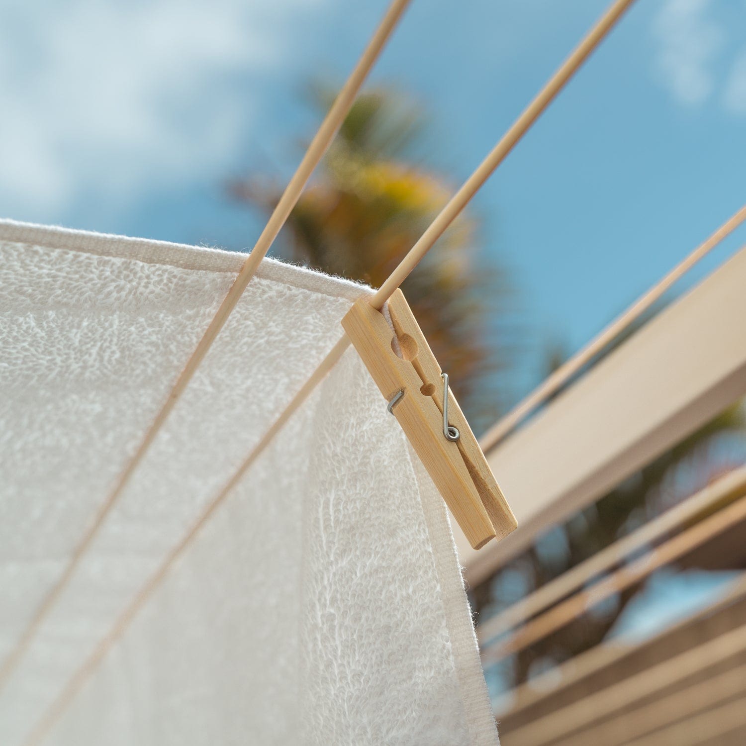 50 Pcs Eco Bamboo Clothes Pegs - 05