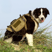 Dog Military Harness (M) - Army Green