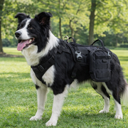 Dog Military Pet Harness (L) - Black