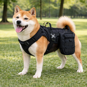 Dog Pet Harness (M) - Black
