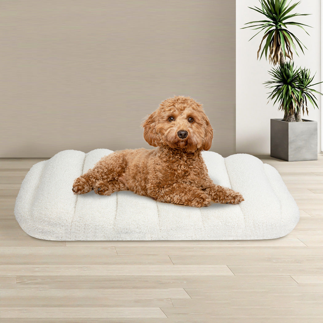 Pawz M Size Orthopedic Dog Bed with Sherpa Plush Removable Cover in White-2018816699154960390
