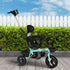 BoPeep Kids Tricycle Ride On Trike Toddler Green-1954802769571483654