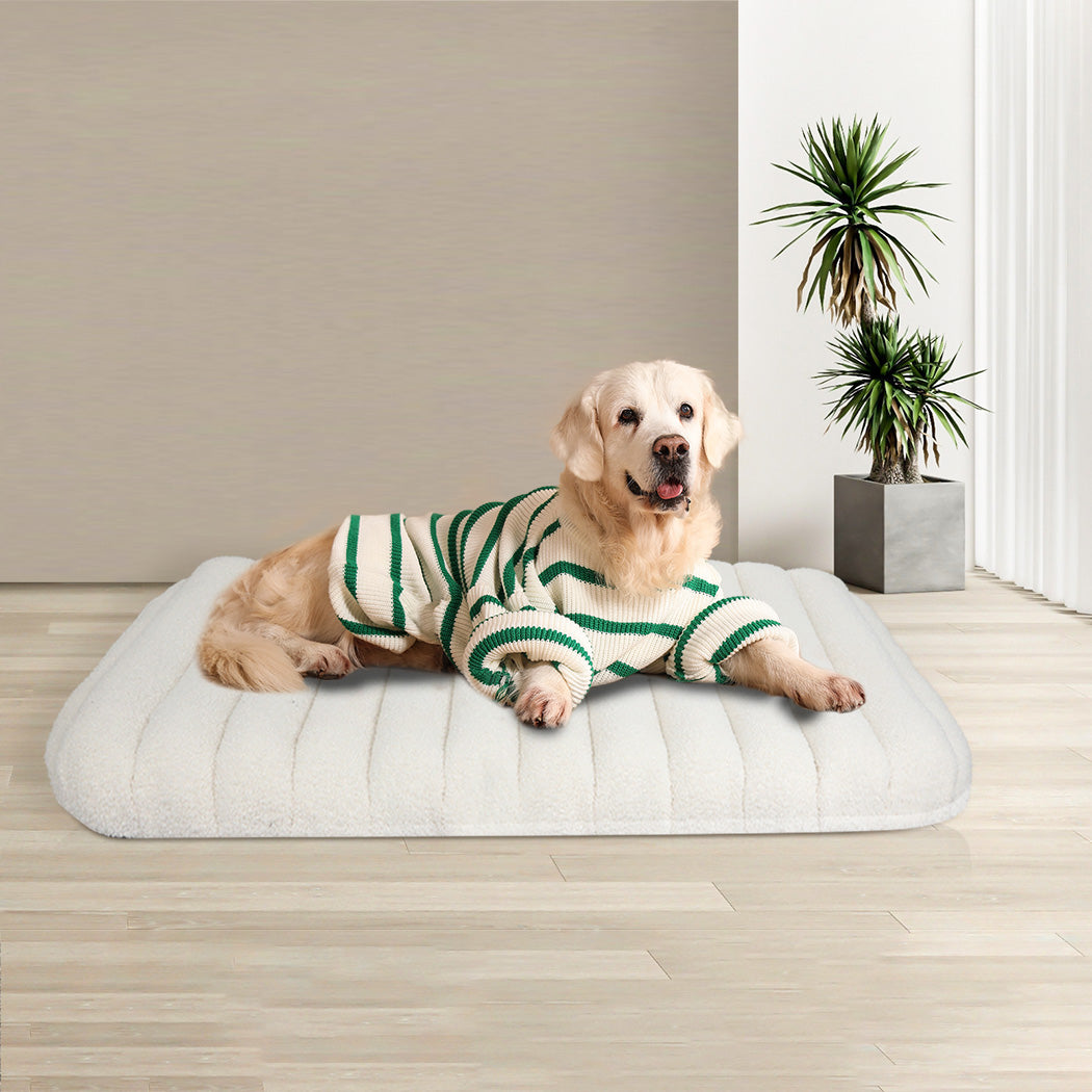 Pawz L Size Orthopedic Dog Bed with Sherpa Plush Removable Cover in White-2006732708935503878