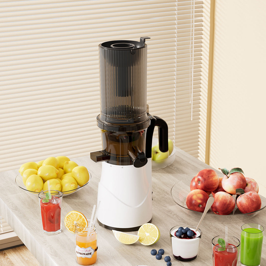Spector Electric Cold Press Juicer Whole Fruit-2006732699099860998