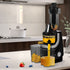 Spector Slow Juicer Cold Press Whole Black-1954802752077041671