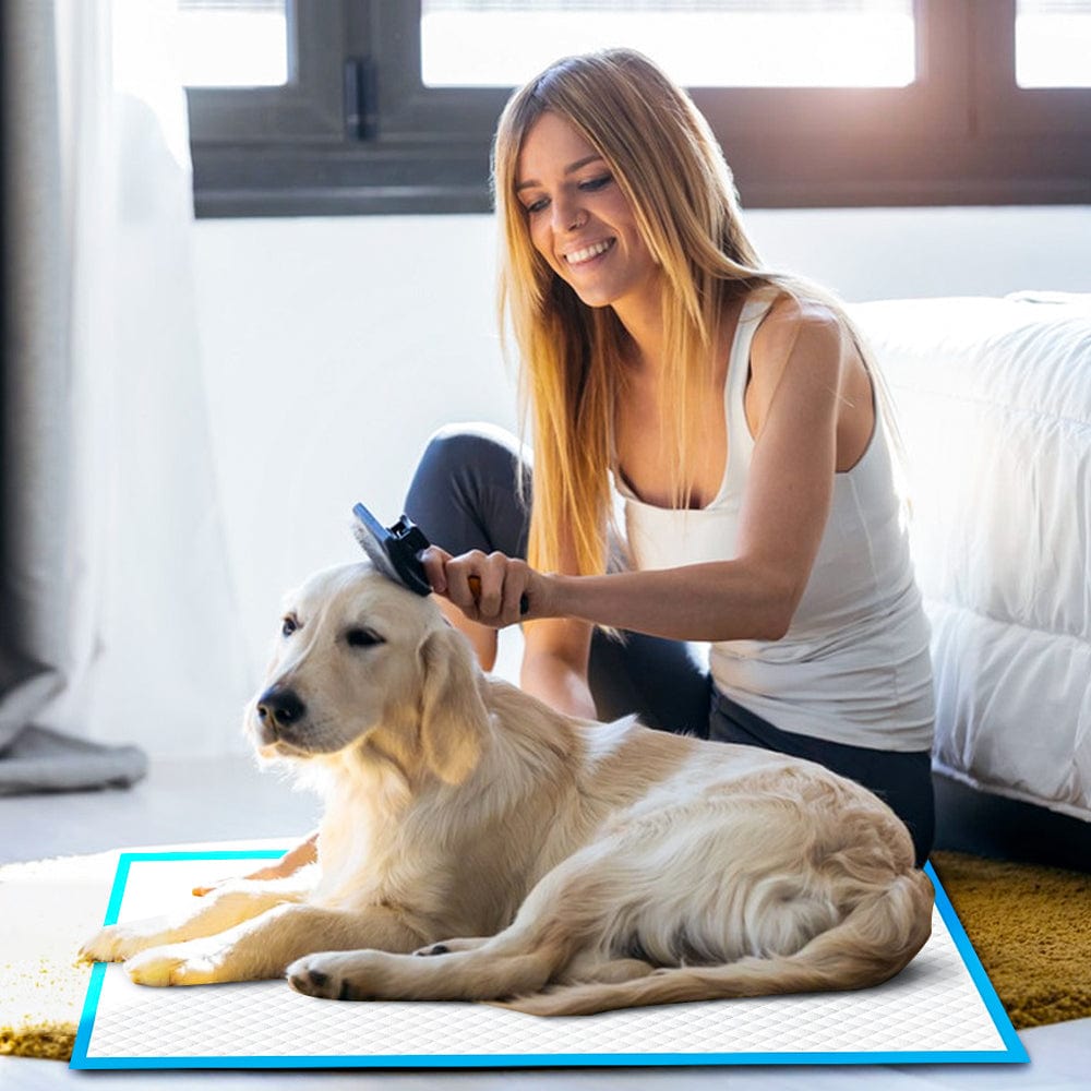 100 Pcs Dog Absorbent Training Pad 60 X 60 Cm - 03