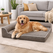 Orthopedic Dog Bed XX-Large - Coffee
