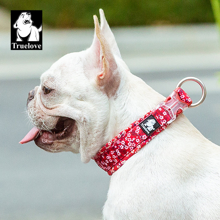 True Love Floral Dog Collar - Red, 3XL-1962324874169028610