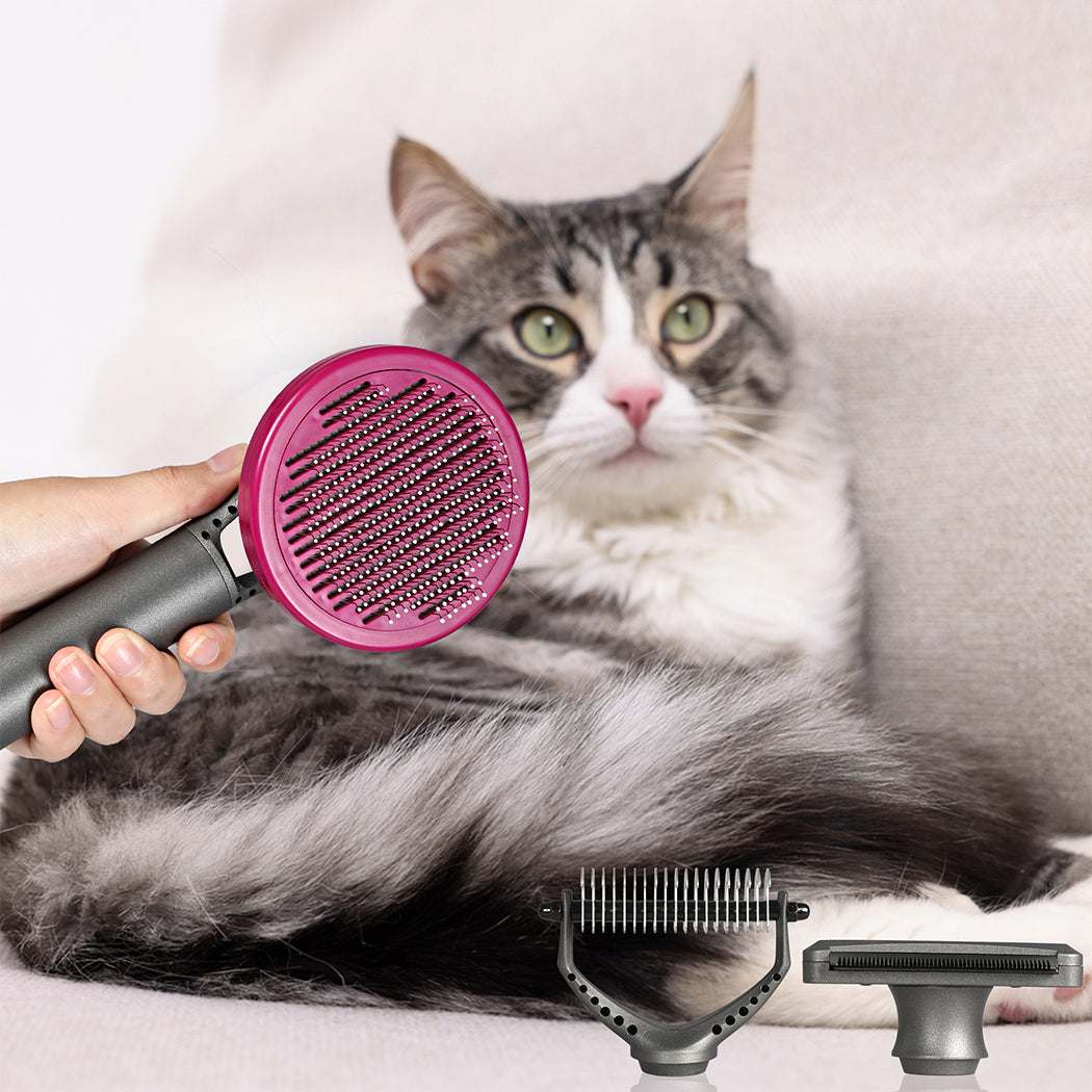 PaWz Pet Grooming Tools-2018816725453246470